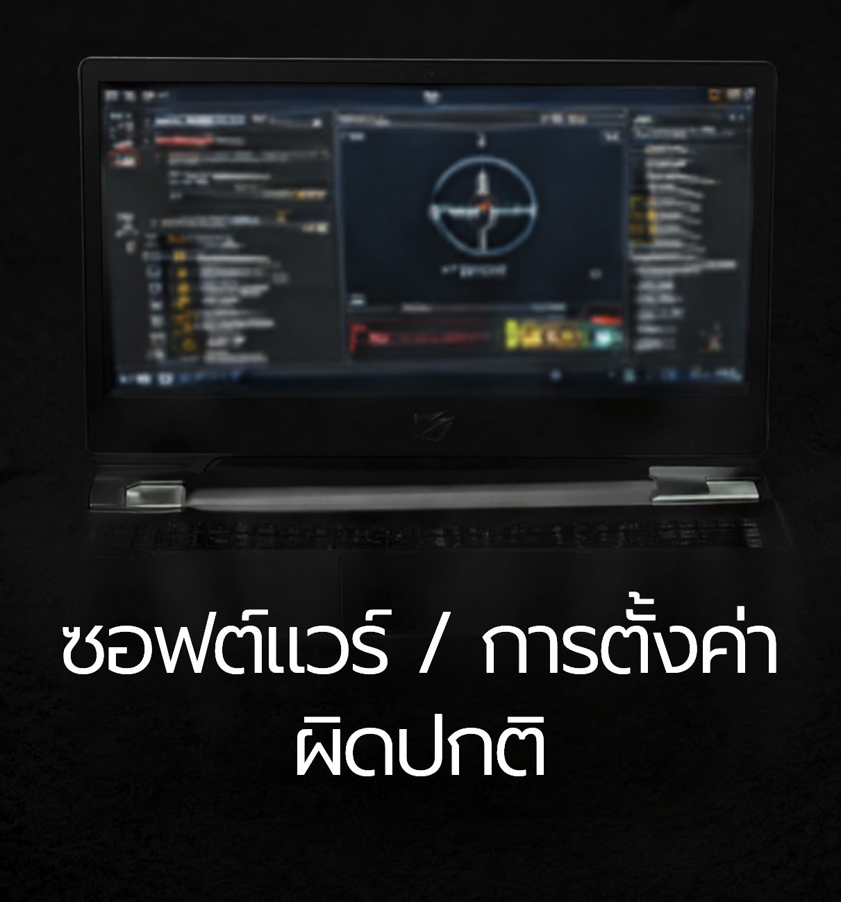 ซอฟต์แวร์ การตั้งค่าผิดปกติ